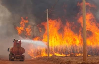 Nỗ lực khống chế vụ cháy rừng tại bang Sao Paulo, Brazil. (Ảnh: Reuters)