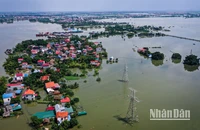 [Video] Nước lũ rút chậm, thôn nhỏ ven sông Cầu vẫn bị cô lập sau bão