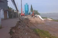 Xử lý khu vực sạt lở đoạn qua xã Bình Mỹ, huyện Châu Phú, tỉnh An Giang.
