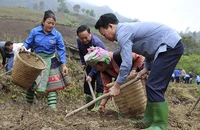 Đồng chí Đỗ Đức Duy, Bí thư tỉnh uỷ Yên Bái tham gia lao động trong “Ngày cuối tuần cùng dân”.