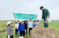 Hướng dẫn kỹ thuật sản xuất phân bón hữu cơ cho nông dân huyện Lâm Thao, tỉnh Phú Thọ. (Ảnh ĐỨC THUẬN)