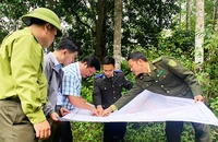 Lãnh đạo ngành nông nghiệp Bắc Kạn và kiểm lâm kiểm tra hiện trạng rừng tại huyện Bạch Thông.