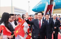 Cán bộ, nhân viên Đại sứ quán và đại diện cộng đồng người Việt Nam đón Chủ tịch Quốc hội Vương Đình Huệ tại sân bay quốc tế Bắc Kinh. (Ảnh: Nhan Sáng/TTXVN)