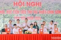 Đại diện Central Retail (ngoài cùng bên trái) ký kết hợp đồng ghi nhớ tiêu thụ vải thiều chín sớm Tân Yên năm 2024 với các Hợp tác xã cung cấp vải thiều của tỉnh Bắc Giang.