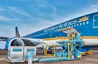 Hàng hoá đang được chất xếp lên tàu bay Vietnam Airlines.