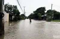 Nhiều khu vực tại huyện Tri Tôn bị ngập sau cơn mưa.