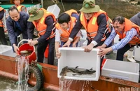 Ngành nông nghiệp tỉnh Nam Định tổ chức thả một triệu con giống xuống sông Hồng để tái tạo nguồn lợi thủy sản ở Vườn quốc gia Xuân Thủy, huyện Giao Thủy.