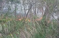 Hiện trường cháy rừng đặc dụng Tây Côn Lĩnh.