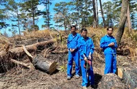 Các đối tượng tại hiện trường vụ phá rừng trái phép ở tiểu khu 216.