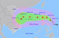 Vị trí và hướng di chuyển của bão Trà Mi. (Nguồn: nchmf.gov.vn) 