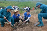 Hưởng ứng Ngày hội trồng cây mắc-ca năm 2024, ngay trong chiều 23/5 có hàng trăm người là nhân dân, cán bộ, giáo viên huyện Tuần Giáo tham gia trồng cây mắc-ca tại xã Quài Cang.