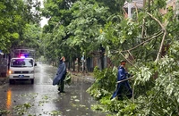 Cán bộ, chiến sĩ Công an phường Lộc Hoà, Thành phố Nam Định thu dọn cây gãy đổ cản trở giao thông trên địa bàn.