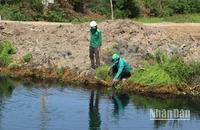 Hàng nghìn cử tri hai tỉnh Long An và Tiền Giang kêu cứu vì nguồn nước ngọt trên các kênh thủy lợi đang bị Nhà máy sản xuất phân bón hữu cơ hủy hoại. 