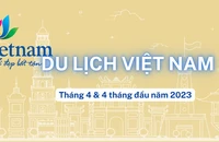 [Infographic] Du lịch Việt Nam có khả năng vượt mục tiêu đón 8 triệu khách quốc tế