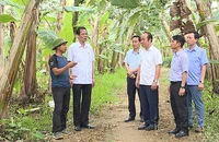 Cán bộ và người dân xã Vĩnh Chân, huyện Hạ Hòa trao đổi kinh nghiệm liên kết sản xuất, tiêu thụ chuối.