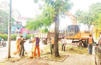 Ban Duy tu các công trình hạ tầng giao thông (Sở Giao thông vận tải Hà Nội) huy động nhân lực, máy móc dọn dẹp vệ sinh môi trường trên đường phố.