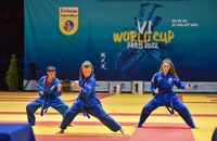 Một tiết mục trình diễn võ thuật trong đêm chung kết Giải vô địch thế giới Vovinam - Việt Võ Đạo lần thứ 6 (2022).