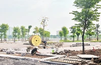 Các đơn vị đang thi công những hạng mục cuối cùng Công viên Khu đô thị Việt Hưng (quận Long Biên, Hà Nội). 