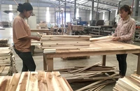 Sản xuất đồ gỗ xuất khẩu tại Công ty TAVICO (Đồng Nai).