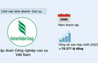 Tập đoàn Công nghiệp Cao su Việt Nam (VRG)