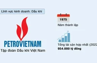 Tập đoàn Dầu khí Việt Nam (PETROVIETNAM)