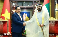 Thủ tướng Phạm Minh Chính hội đàm với Phó Tổng thống, Thủ tướng UAE Sheikh Mohammed bin Rashid Al Maktoum. (Ảnh: Dương Giang/TTXVN)