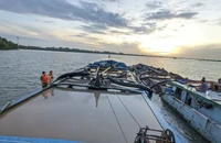Các tàu khai thác cát trái phép bị lực lượng chức năng bắt giữ tại huyện Tân Phú Đông (Tiền Giang).