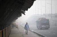 Khói mù bao phủ thủ đô New Delhi, Ấn Độ ngày 1/11/2022. (Ảnh tư liệu: AFP/TTXVN)