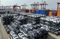 Xe ô-tô chạy bằng năng lượng mới chờ xuất khẩu tại khu cảng ở thành phố Thái Thương thuộc Tô Châu, tỉnh Giang Tô, Trung Quốc. (Ảnh: THX/TTXVN)
