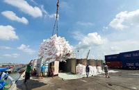 Bốc xếp gạo xuất khẩu ở cảng biển tại An Giang. (Ảnh CHÍ QUỐC)