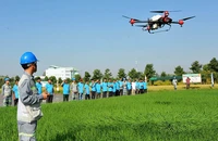 Kỹ sư của Công ty cổ phần Tập đoàn Lộc Trời trình diễn phun thuốc bảo vệ thực vật trên ruộng lúa bằng thiết bị bay không người lái. (Ảnh CÔNG MẠO)