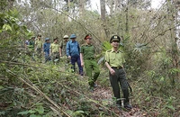 Hạt kiểm lâm huyện Sơn Dương phối hợp các đơn vị và người dân tuần tra rừng đặc dụng Tân Trào.