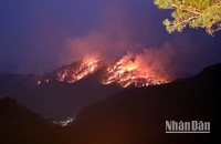 Hiện trường vụ cháy rừng vào ngày 7/4 tại đèo Prenn-Đà Lạt, Lâm Đồng. (Ảnh: Bảo Văn)