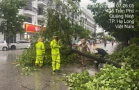 Cảnh sát giao thông giúp người dân thu dọn hậu quả do bão tại thành phố Hạ Long, Quảng Ninh.