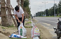 Người dân Thanh Hóa đóng cát vào bao bì, phòng chống bão số 3.