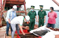 Lực lượng chức năng kiểm tra tàu cá TG90187TS vận chuyển dầu do không có hóa đơn chứng từ theo quy định. (Ảnh NINH NHÂM)