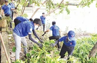 Tuổi trẻ thành phố tham gia hoạt động dọn vệ sinh môi trường. (Ảnh CTV)