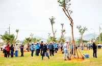Quang cảnh lễ ra quân Tết trồng cây ở thành phố Đà Nẵng.