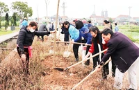 Các tổ chức đoàn thể và nhân dân xã Tri Thủy, huyện Phú Xuyên (Hà Nội) hưởng ứng Tết trồng cây Xuân Quý Mão 2023. Ảnh THU NGHĨA