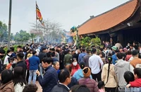 Lễ hội chùa Keo mùa xuân năm 2024 đón lượng khách du lịch kỷ lục.