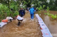 Huyện Vũ Thư (tỉnh Thái Bình) dồn sức chống úng ngập cho 75 ha lúa, hoa màu tại xã Xuân Hòa.