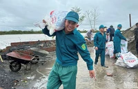 Nụ cười lạc quan của thanh niên xung kích hộ đê (tỉnh Thái Bình).