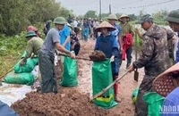 Tỉnh Thái Bình huy động tổng lực phòng chống, giảm thiểu thiệt hại do bão số 3 gây ra.