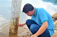Công nhân công ty thủy nông kiểm tra mực nước tại hồ Pá Khoang.