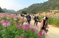 Khu du lịch Thung Nham (Ninh Bình) thu hút khá đông khách thăm quan trong tháng 3/2023.