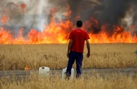 Một người chăn cừu nhìn ngọn lửa thiêu rụi cánh đồng lúa mì giữa Tabara và Losacio trong đợt nắng nóng thứ hai trong năm ở tỉnh Zamora, Tây Ban Nha, ngày 18/7/2022. Ảnh: Reuters
