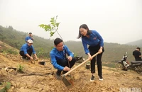 Đoàn thanh niên 21 đơn vị trực thuộc khối Doanh nghiệp Trung ương ra quân phát động trồng 525 nghìn cây xanh “Vì một Việt Nam xanh" năm 2023.