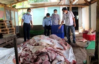 Lực lượng Đoàn kiểm tra liên ngành thành phố Biên Hòa kiểm tra số thịt lợn bên trong cơ sở.