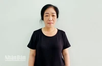 Bị can Vũ Thị Thanh. (Ảnh: VĂN VŨ)