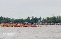 Các đơn vị tranh tài ở Giải đua ghe ngo.